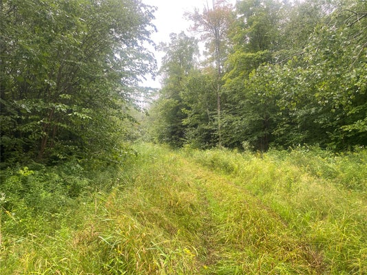 NEAR TIMBER ROAD, CATAWBA, WI 54515 - Image 207c7d9daa79b6e955643ec88a4baabf/4057249450