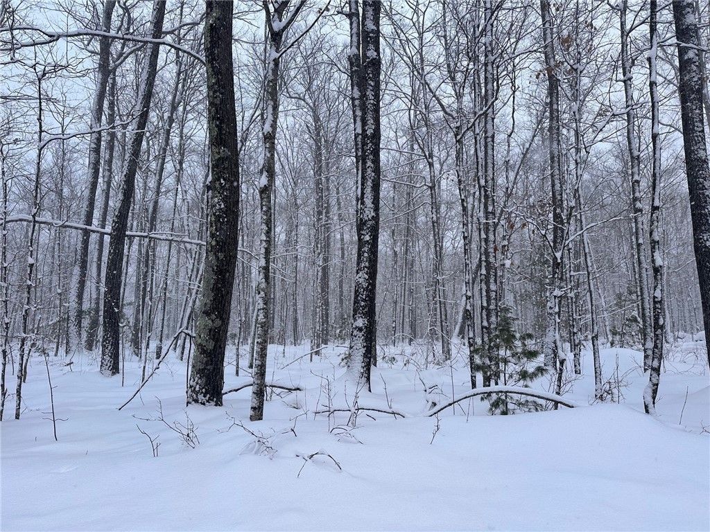 Photo of Lot 4 N Scarlet Tanager Lane, Hayward, WI 54843 (MLS # 1597908)