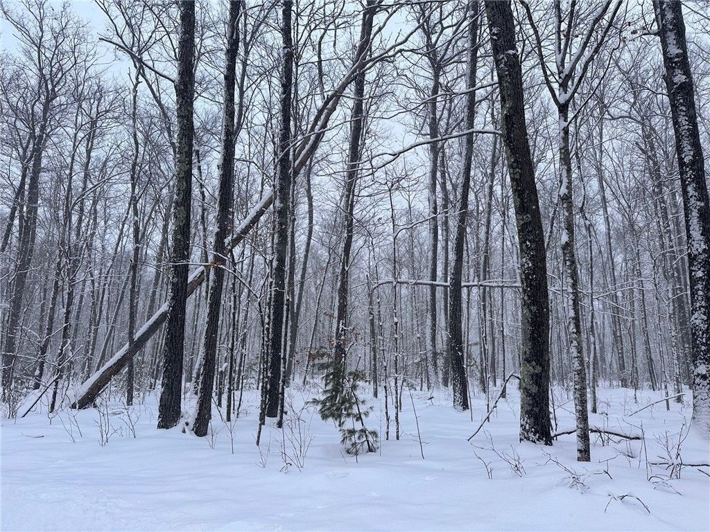 Photo of Lot 4 N Scarlet Tanager Lane, Hayward, WI 54843 (MLS # 1597908)