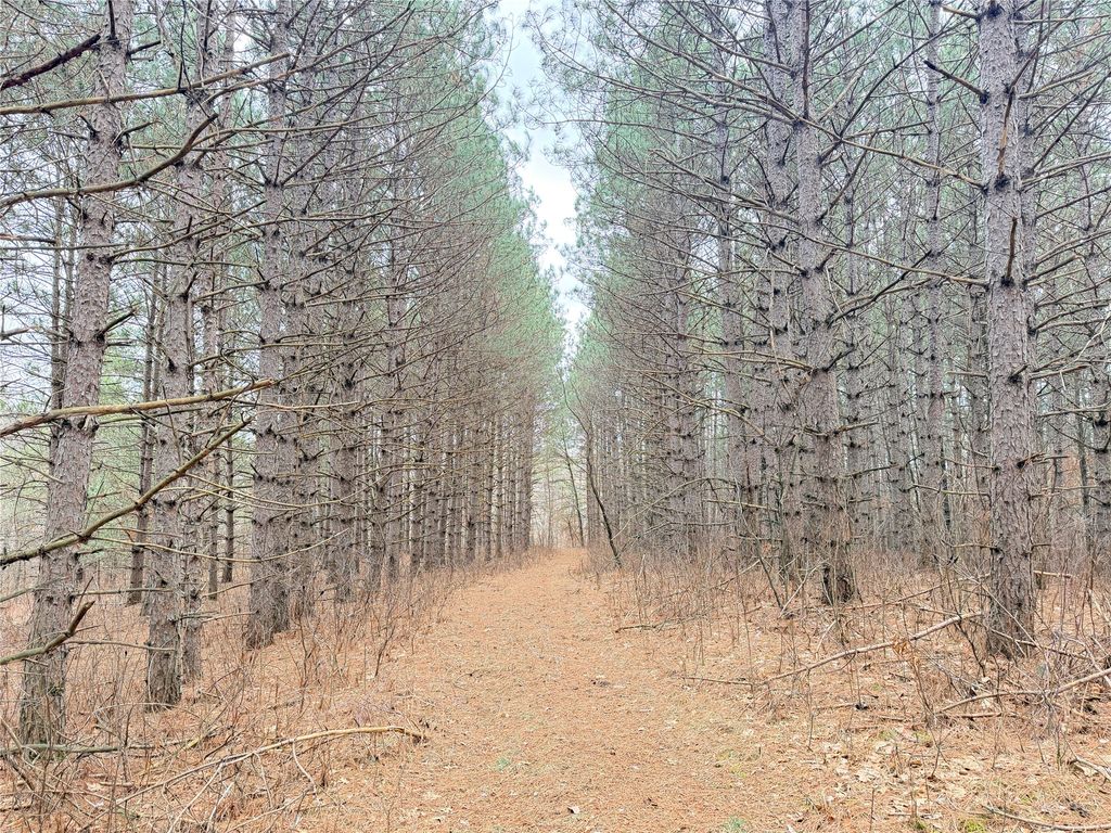 Photo of Lot 5 Big Lake Drive, Osceola, WI 54020 (MLS # 1599514)