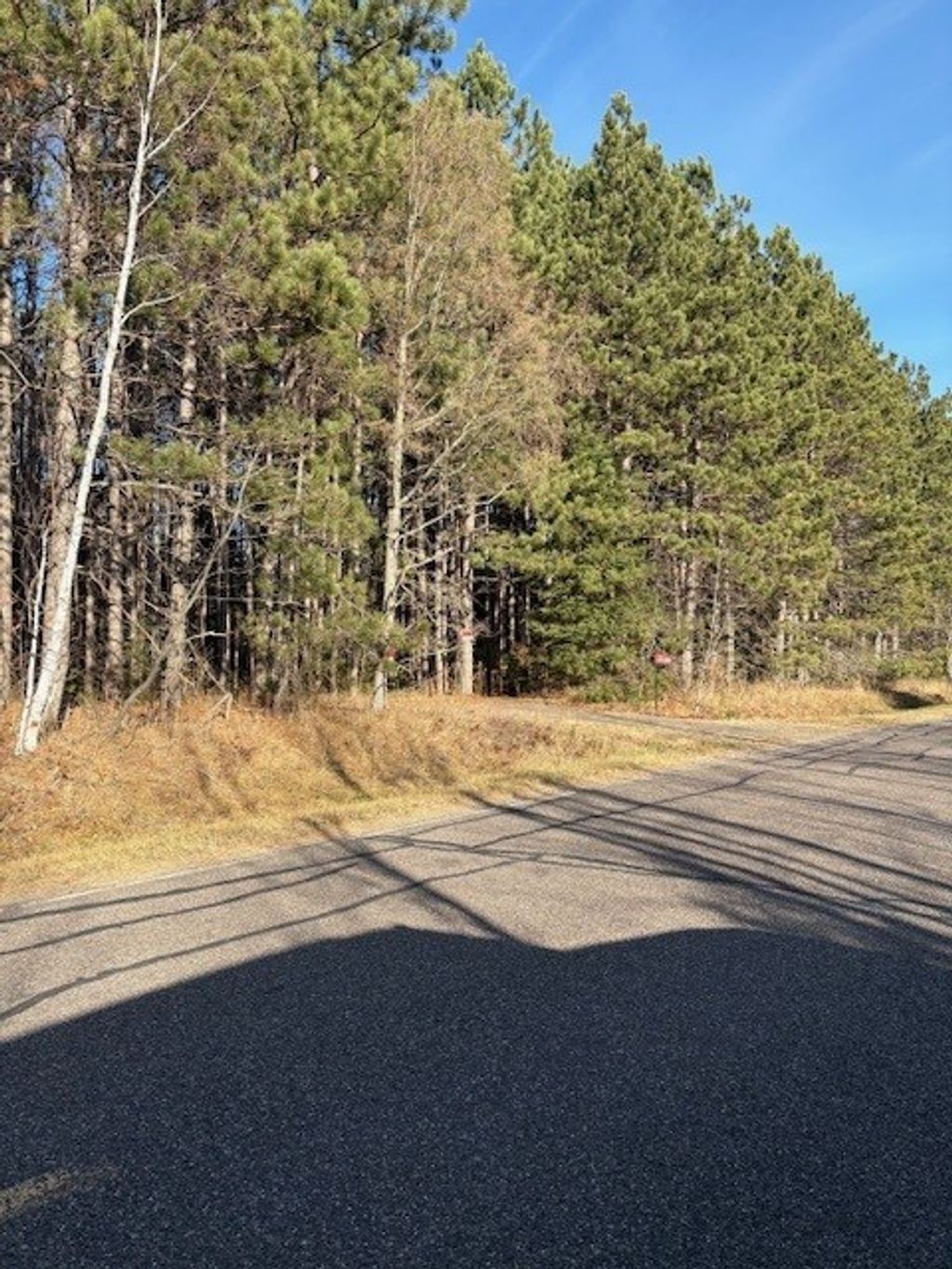 Photo of 10030 Moose Lake Road, Hayward, WI 54843 (MLS # 1597232)