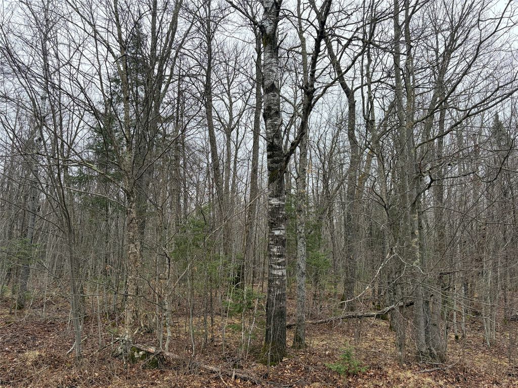 Photo of ON N Hofer Road, Couderay, WI 54828 (MLS # 1599292)