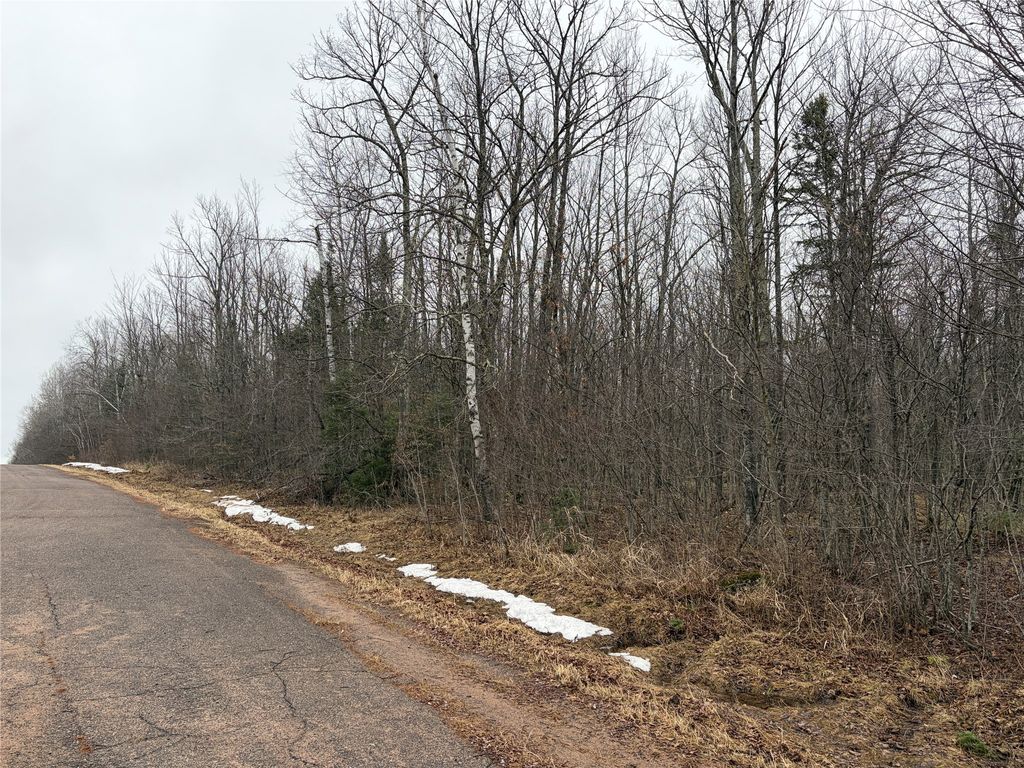 Photo of ON N Hofer Road, Couderay, WI 54828 (MLS # 1599292)