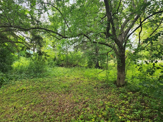 LOT 4&5 MAIN STREET, BIRCHWOOD, WI 54817 - Image 2a45014f4827da6325bc3e9562026229/488646996