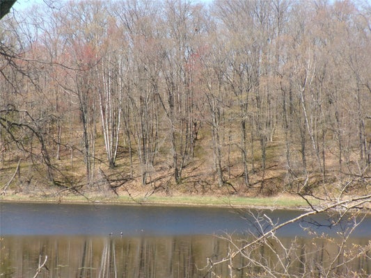 MOODY LAKE RD, SARONA, WI 54870 - Image 2e65d0adefd684eeb7315f280e9d2a78/3054358113
