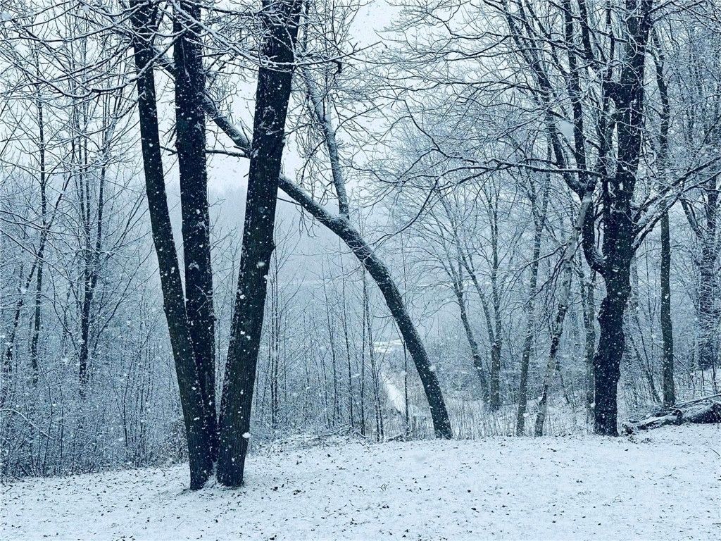 Photo of 2473 27 1/2 Street, Rice Lake, WI 54868 (MLS # 1597809)