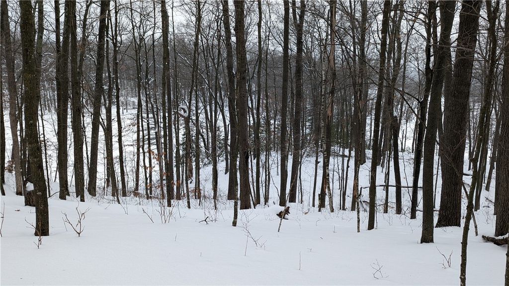 Photo of Lot 2 Crystal Point Drive, Birchwood, WI 54817 (MLS # 1597588)