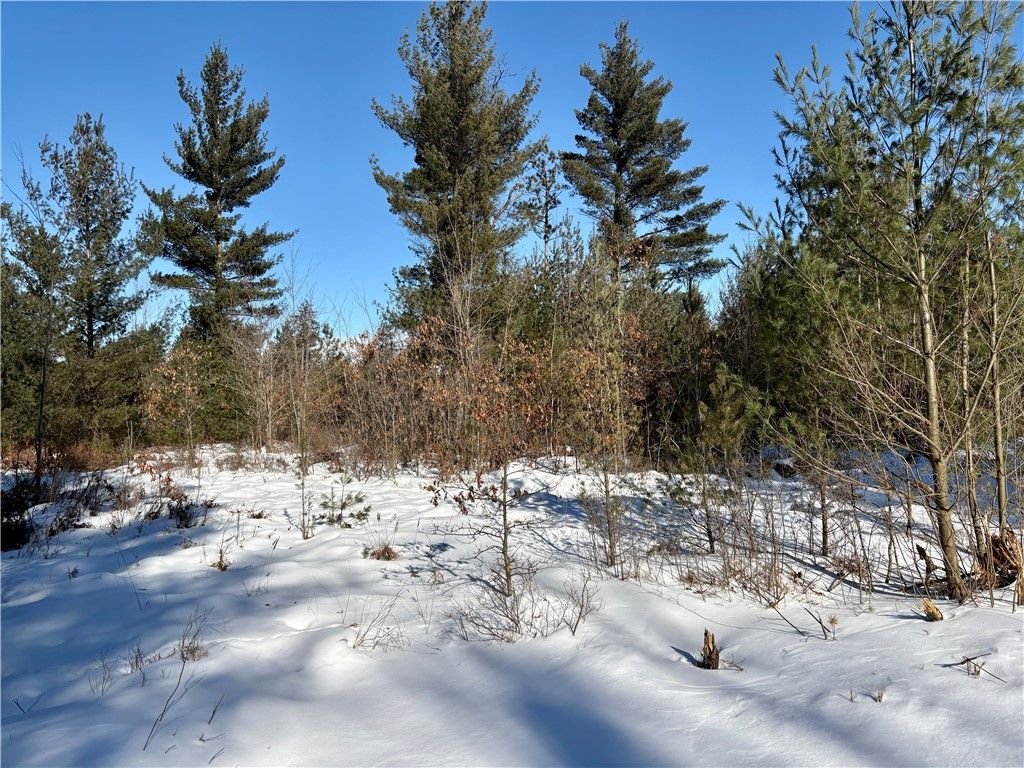 Photo of 0 Ballard Road, Pittsville, WI 54456 (MLS # 1598312)