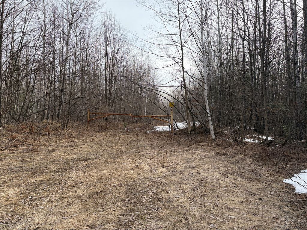 Photo of ON CTH B, Winter, WI 54896 (MLS # 1599277)