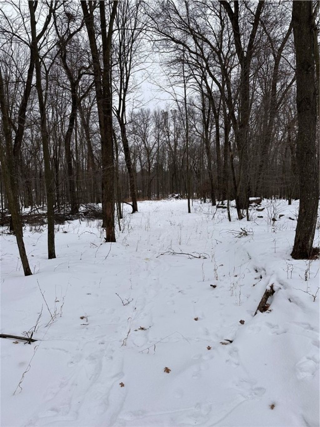 Photo of 17085 E County Road D, Fall Creek, WI 54742 (MLS # 1598232)