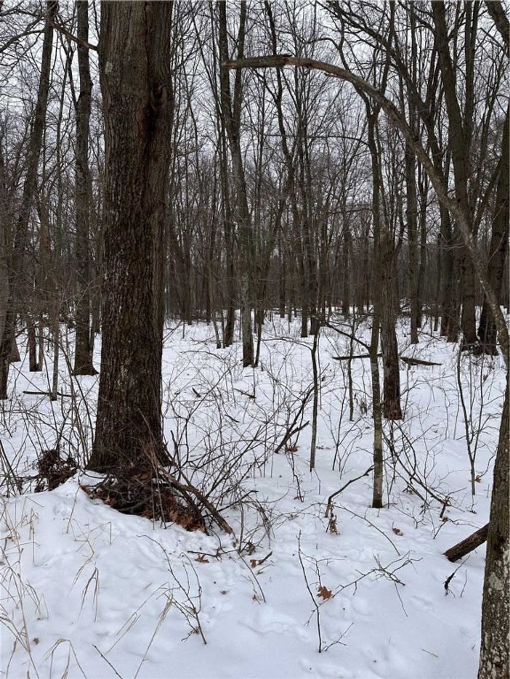 Photo of 17085 E County Road D, Fall Creek, WI 54742 (MLS # 1598232)