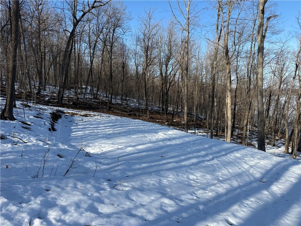Photo of Lot 4 Balsam Drive, Birchwood, WI 54817 (MLS # 1598889)