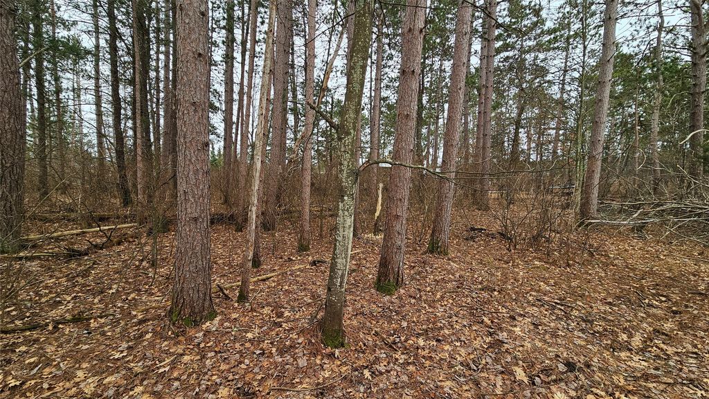 Photo of Lot 2 Jenny Lane, Hayward, WI 54843 (MLS # 1599996)