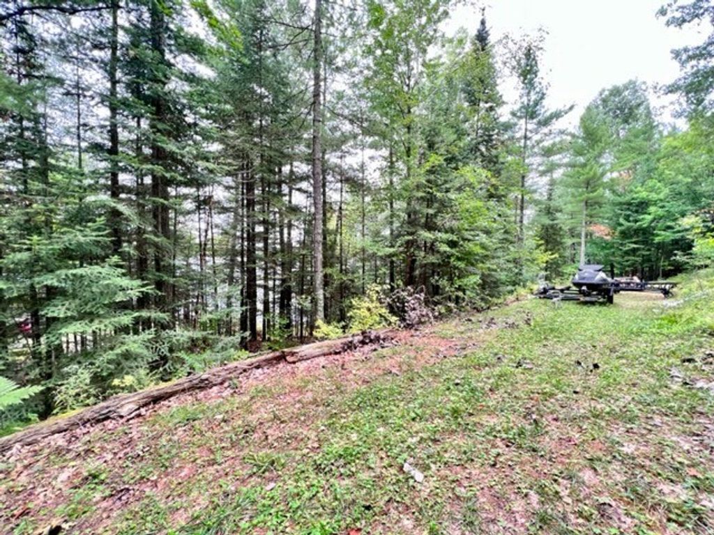 Photo of 9102 N County Rd E, Hayward, WI 54843 (MLS # 1596894)