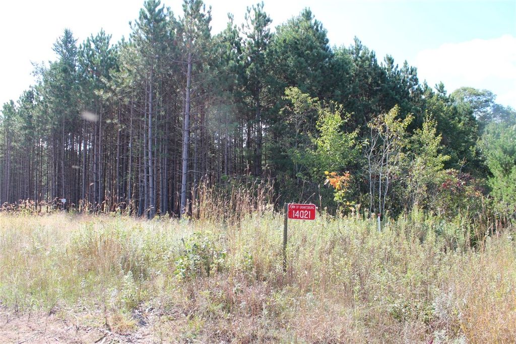 Photo of XXX Hay Creek Boulevard, Grantsburg, WI 54840 (MLS # 1597199)
