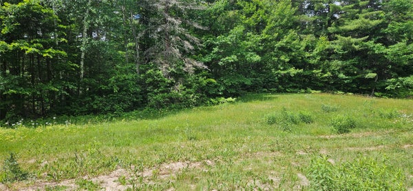 ADDRESS PRIVATE, CABLE, WI 54821 - Image 3bb6bf69148ae07028f21dfa6d3bce59/1593786157