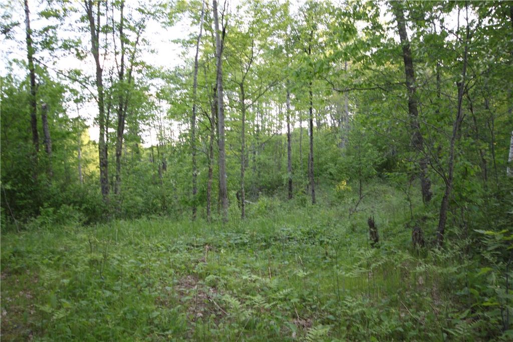 Photo of Lot 1 Timber Wolf Drive, Springbrook, WI 54875 (MLS # 1596740)