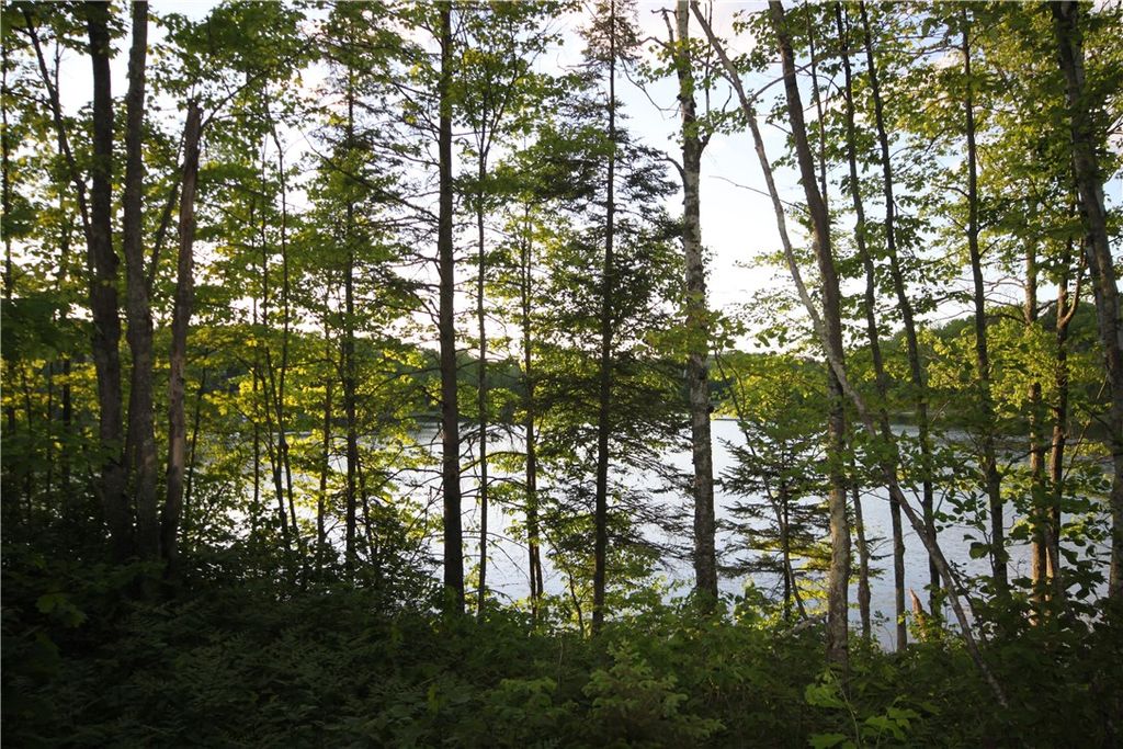 Photo of Lot 1 Timber Wolf Drive, Springbrook, WI 54875 (MLS # 1596740)