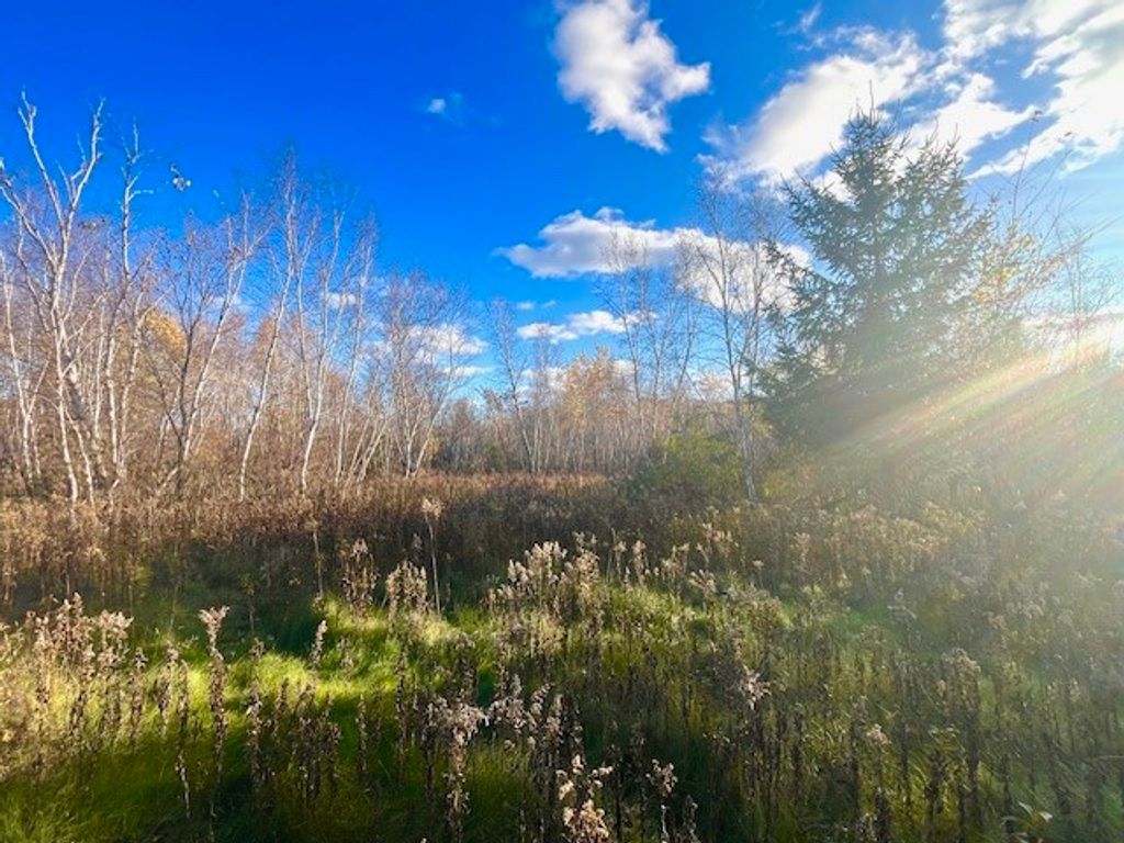 Photo of Lot 2 County Rd Q, Clear Lake, WI 54005 (MLS # 1597384)