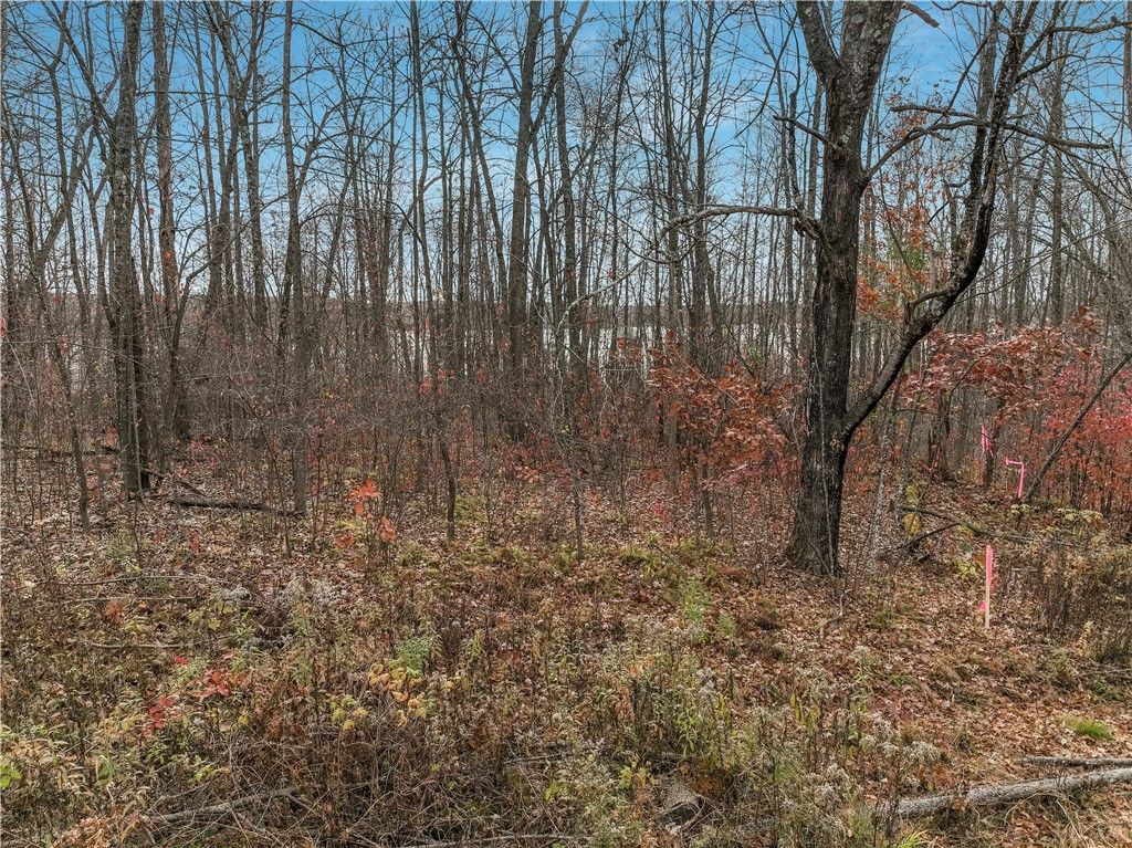 Photo of Lot 1 County Highway F, Birchwood, WI 54817 (MLS # 1596870)