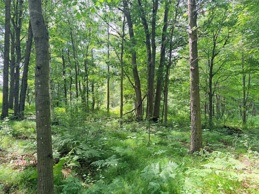 ADDRESS PRIVATE, BRUCE, WI 54819 - Image 3fc6062f0c1c4e1d1aaeaa3b0b5fc899/4071557320
