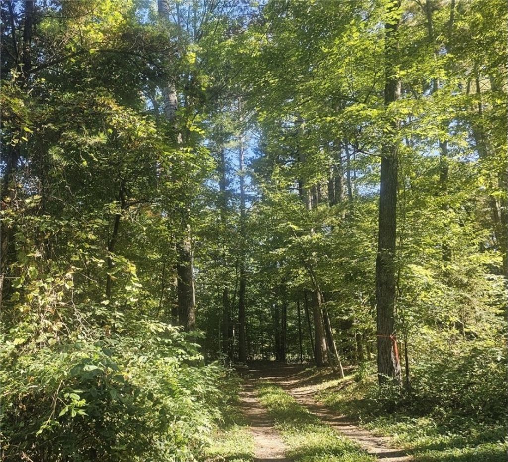 Photo of XX E Bass Lake, Webster, WI 54893 (MLS # 1596116)