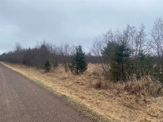 ON SHAUGER ROAD, OGEMA, WI 54459 - Image 4114dc41a2e83ac77bda5b9452dcdf4c/2076782202