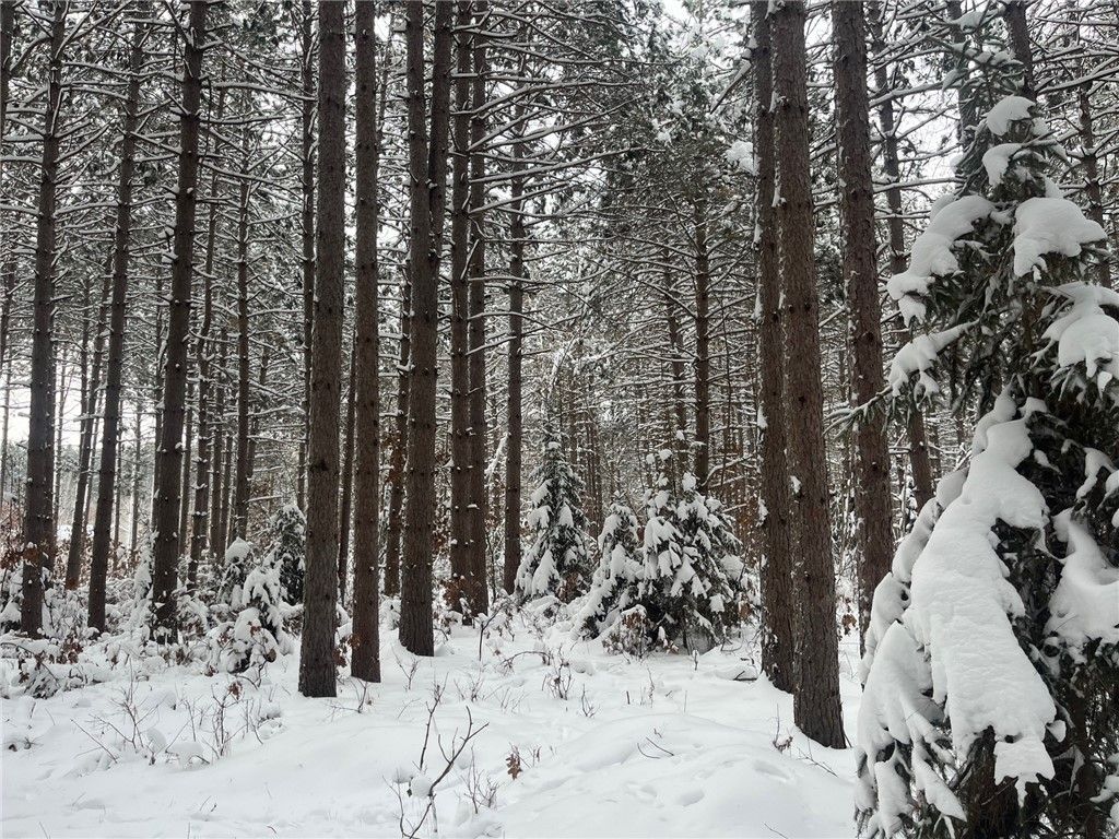 Photo of 29931 Minerva Road, Danbury, WI 54830 (MLS # 1597693)