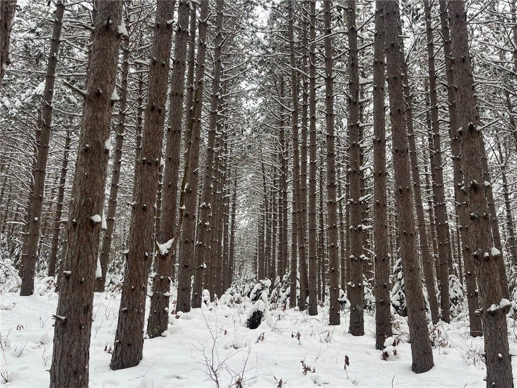 Photo of 29931 Minerva Road, Danbury, WI 54830 (MLS # 1597693)