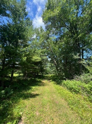 LILY LAKE INN RD, WEBSTER, WI 54893 - Image 42ed00faceb54c9d0e2eb0f30d5bfcc8/1773457568