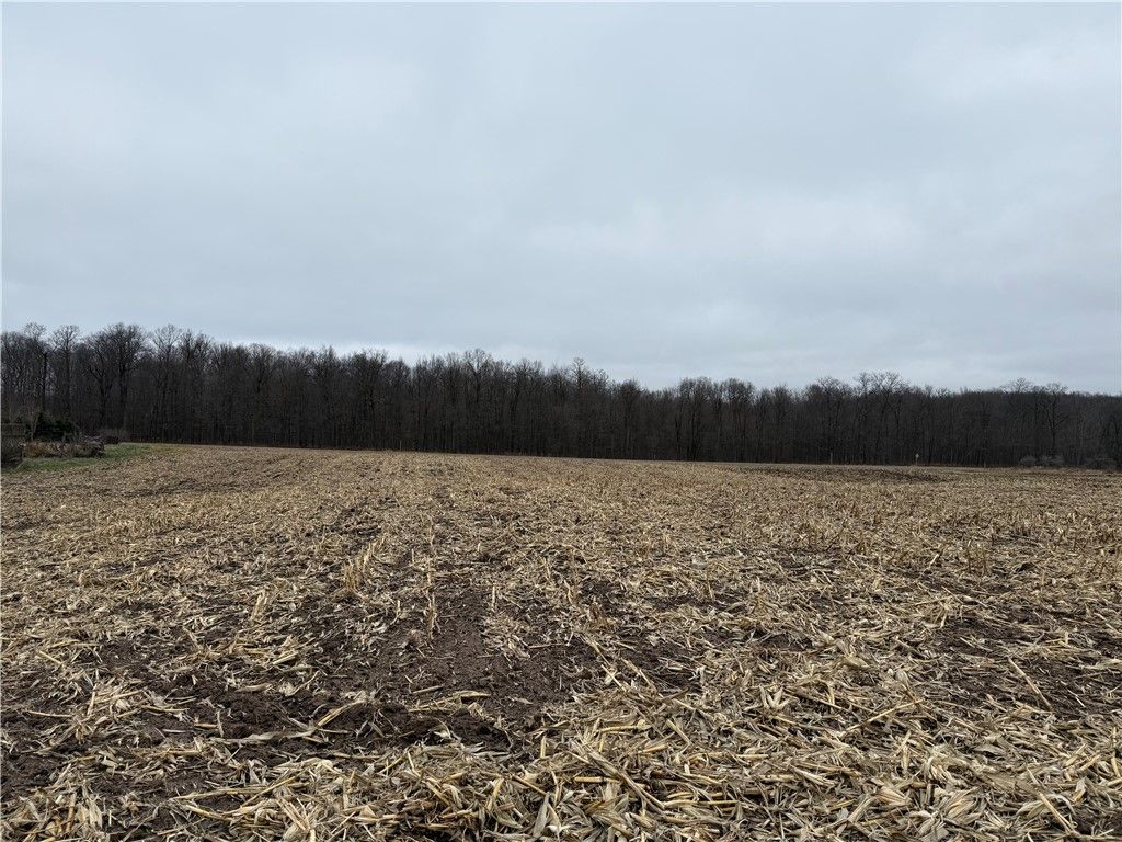 Photo of Sarona, WI 54870 (MLS # 1597453)