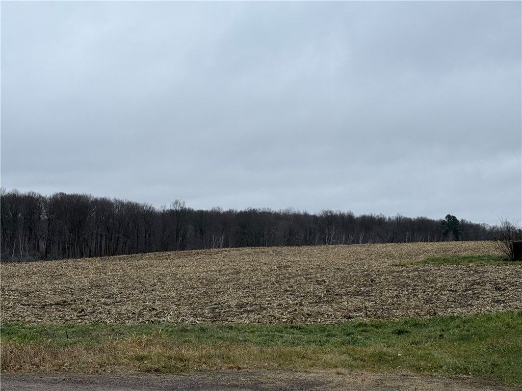 Photo of Sarona, WI 54870 (MLS # 1597453)
