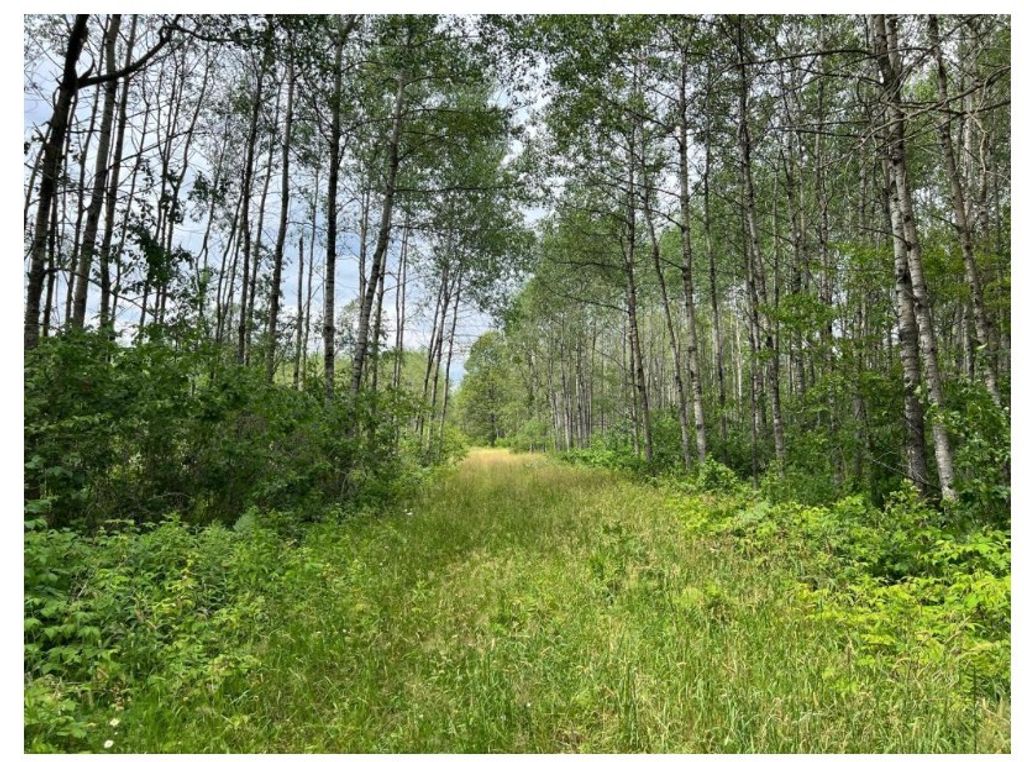 Photo of TBD Frog Creek Road, Minong, WI 54859 (MLS # 1597757)