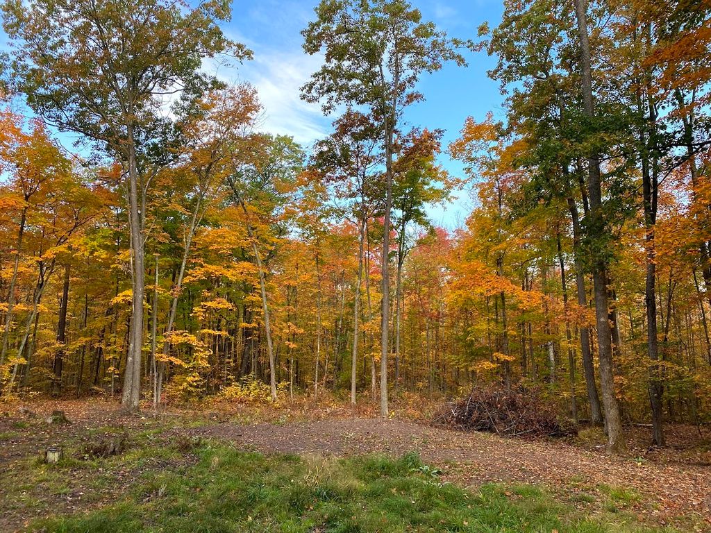 Photo of 15846 W Pank Road, Stone Lake, WI 54876 (MLS # 1599821)