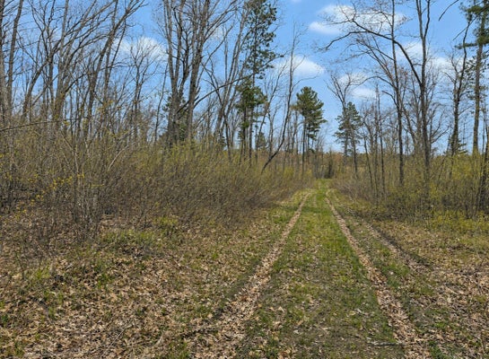 ADDRESS PRIVATE, SPOONER, WI 54801 - Image 4f759d238f6eb022a892ffc03ad9d773/419410941