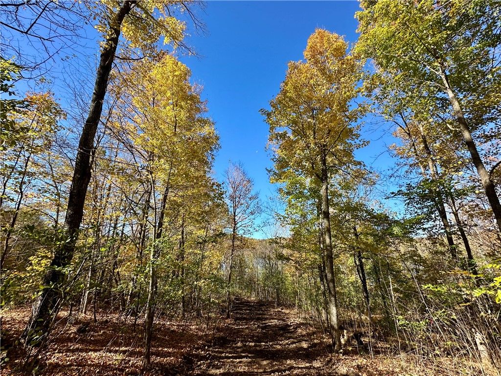 Photo of Lake Lot 1 Lakeview LN., Exeland, WI 54835 (MLS # 1596417)