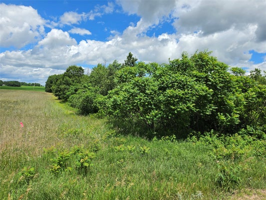 370TH AVE, ELK MOUND, WI 54739 - Image 50a3f5e659bb37fbcbe198e8401fe2b6/2197351760