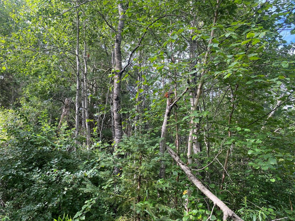 Photo of ON Delap Lane, Couderay, WI 54828 (MLS # 1599289)