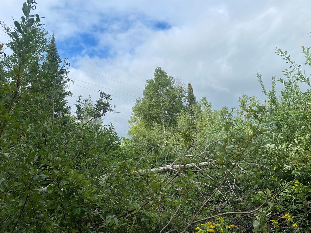 Photo of ON Delap Lane, Couderay, WI 54828 (MLS # 1599289)