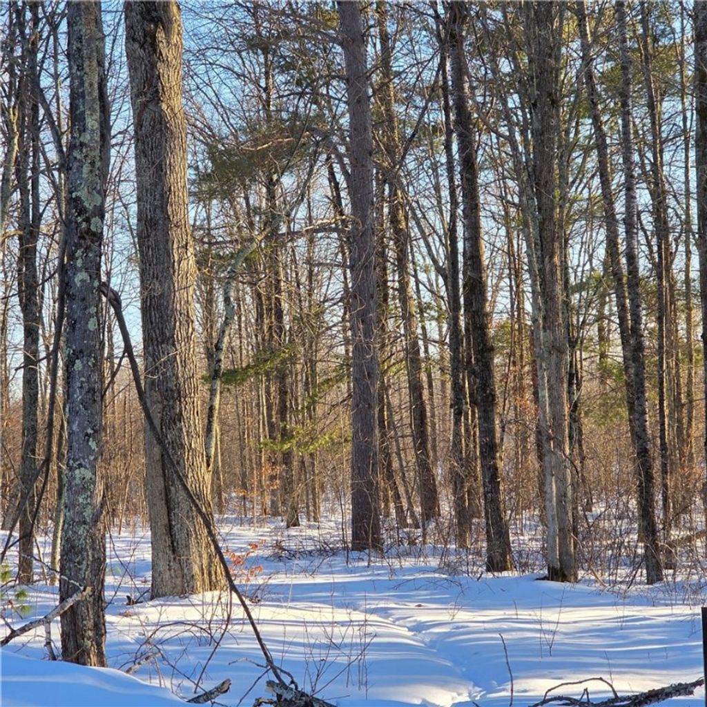 Photo of N8829 Cty E Road, Hayward, WI 54843 (MLS # 1598387)