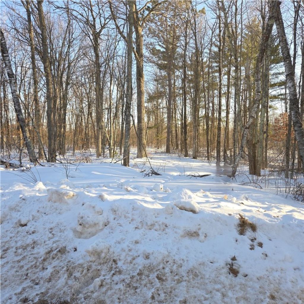 Photo of N8829 Cty E Road, Hayward, WI 54843 (MLS # 1598387)