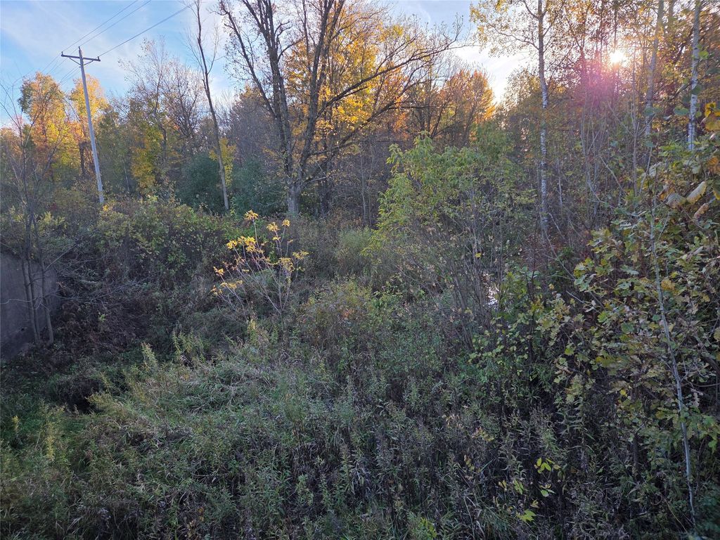 Photo of SW corner of Hwy 25 &amp; Hwy 48 Intersection, Rice Lake, WI 54868 (MLS # 1599819)