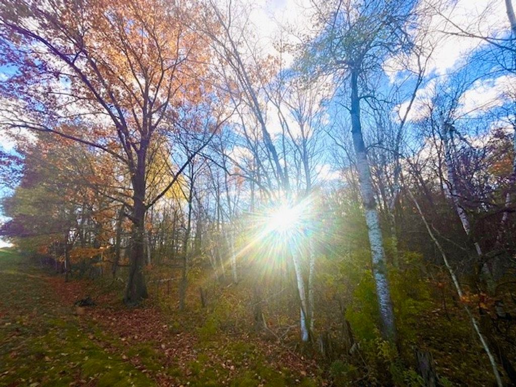 Photo of Lot 4 320th Street, Clear Lake, WI 54005 (MLS # 1597381)