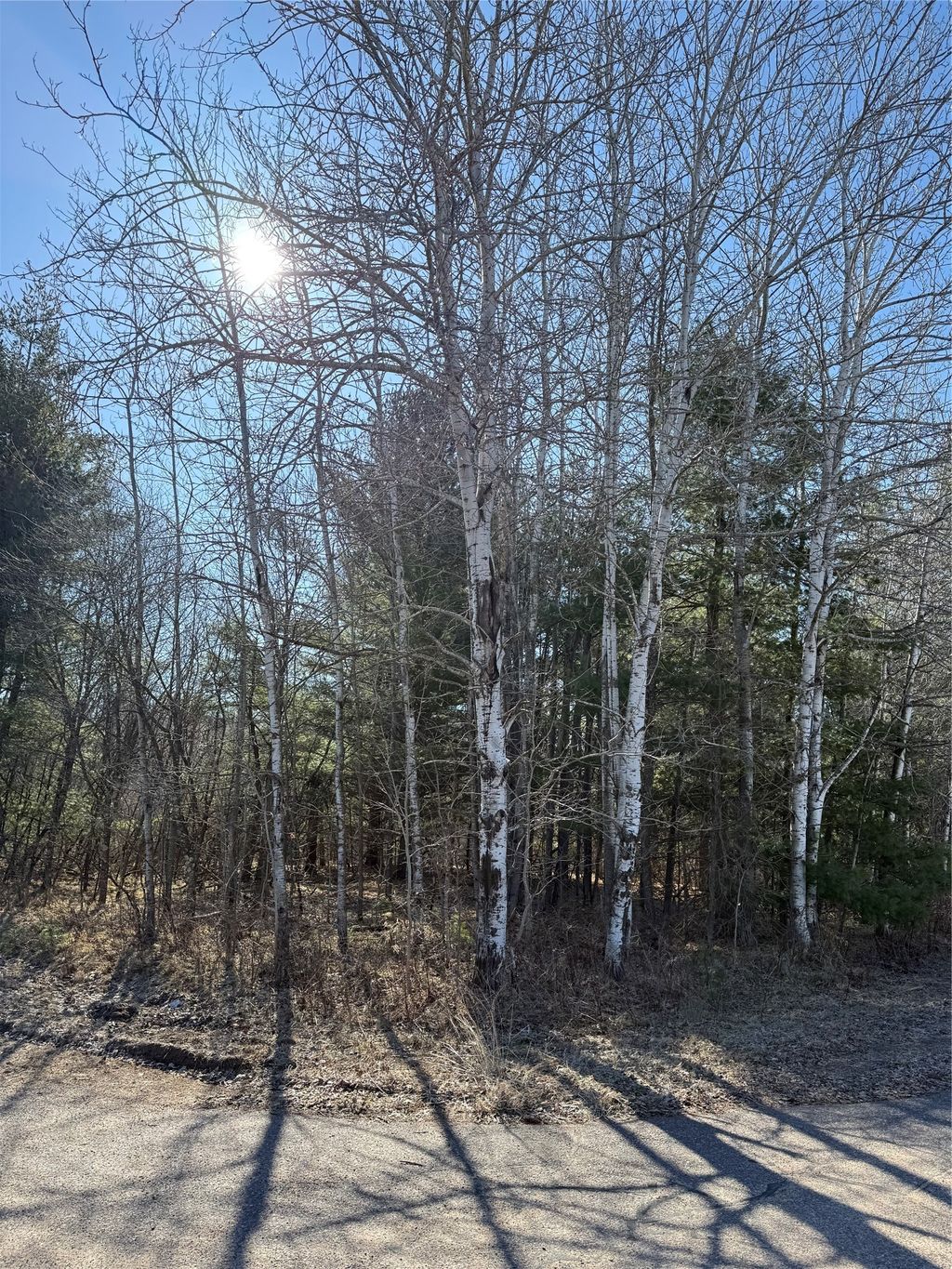 Photo of 1.06 Acre on 297th Avenue, Holcombe, WI 54745 (MLS # 1599784)