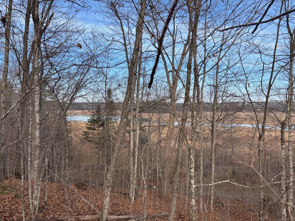 Photo of 11352N Vasa Road, Hayward, WI 54843 (MLS # 1599818)