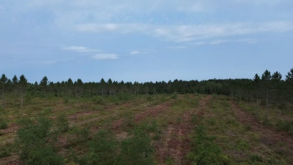 ELLISON LAKE RD, SOLON SPRINGS, WI 54873 - Image 5bf4b3d36d907353a5cbb8ed85452e9f/463577123