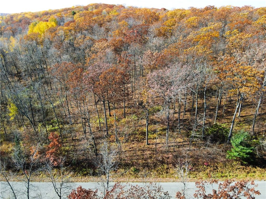 Photo of LOT 1 Breakneck Road, Birchwood, WI 54817 (MLS # 1596958)