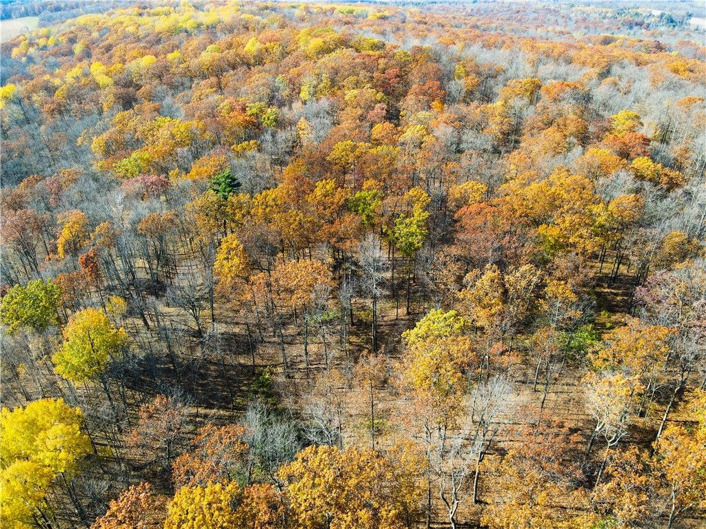Photo of LOT 1 Breakneck Road, Birchwood, WI 54817 (MLS # 1596958)