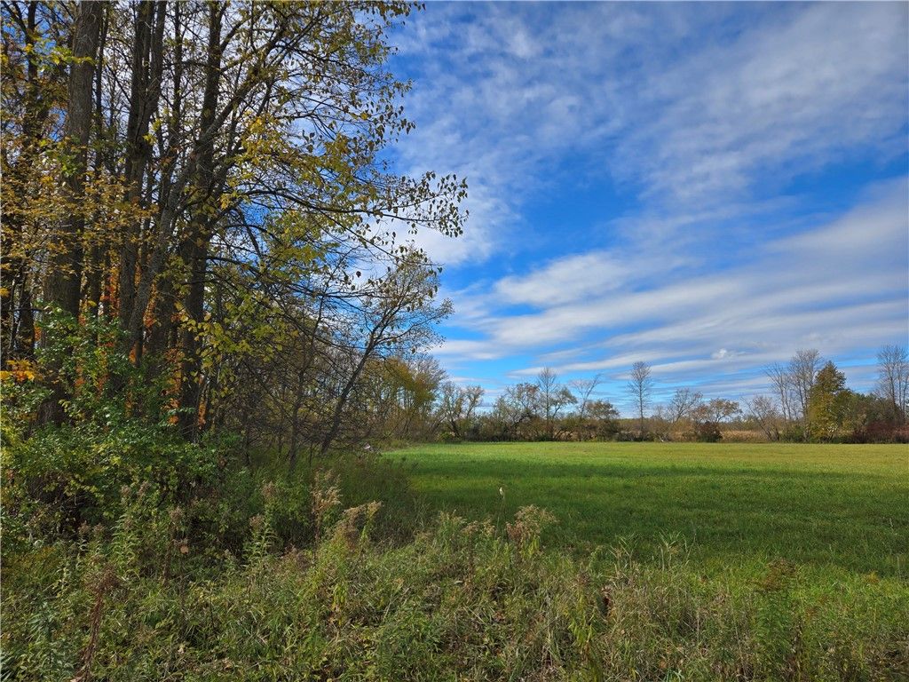 Photo of 10 Acres County Highway C, Marengo, WI 54855 (MLS # 1596705)