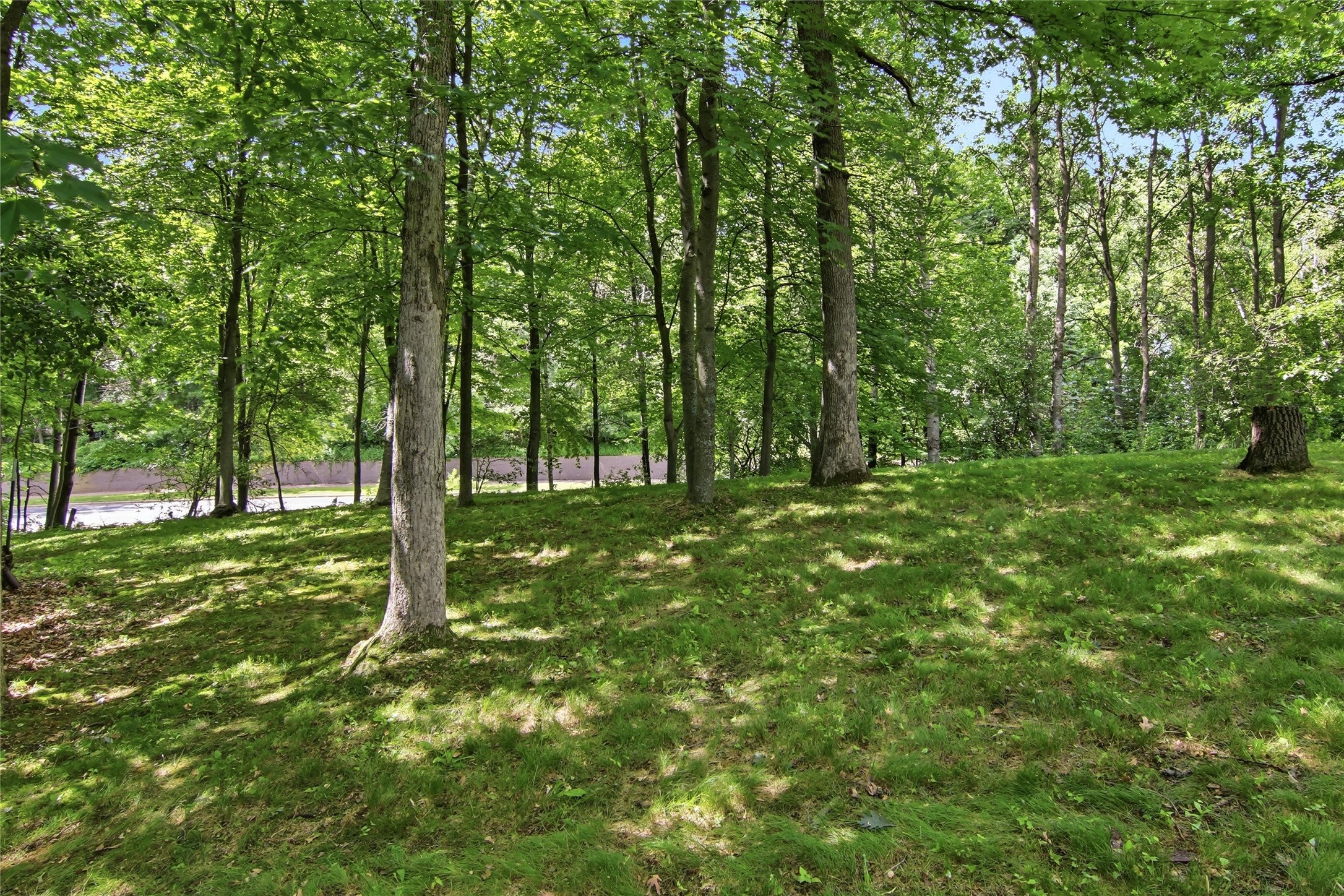 3912 Woodcrest Court